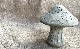 �ڻ��ߡ� �ѹ�SPARTA STATUES ��Toadstool Small�� �����ǥ󥪡��ʥ���