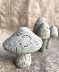 �ڻ��ߡ� �ѹ�SPARTA STATUES ��Toadstool Small�� �����ǥ󥪡��ʥ���