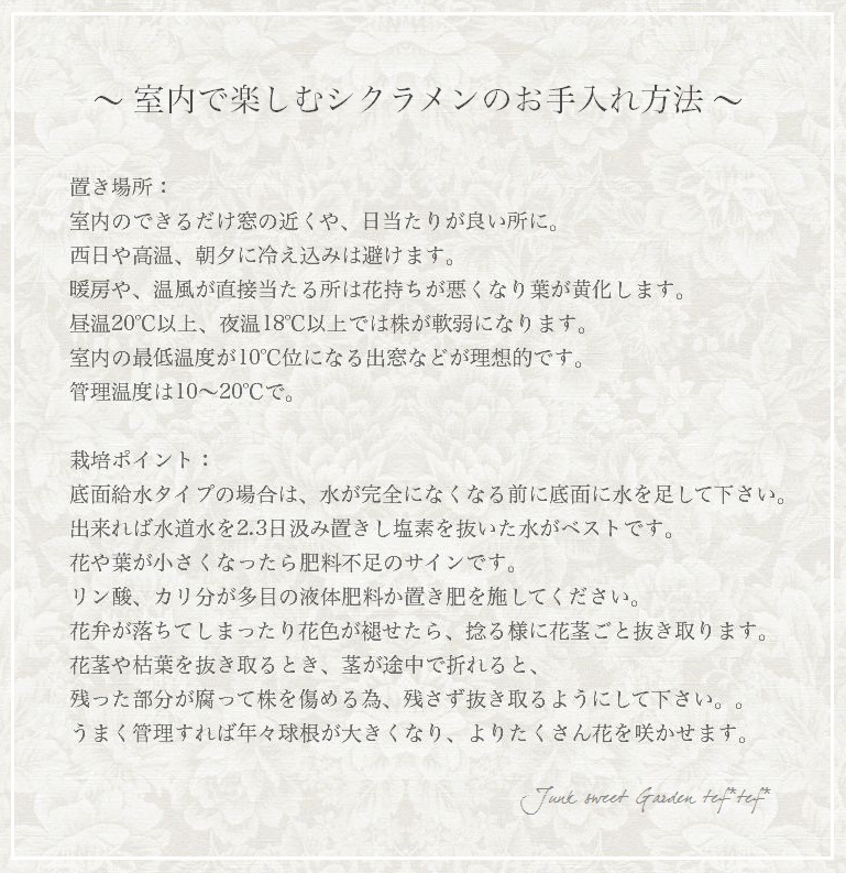 �������ƺ餯���������󡡡إ��󥸥�١��ԥ�