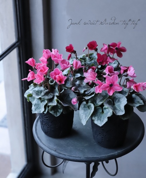 �������ƺ餯���������󡡡إ��󥸥�١��ԥ�