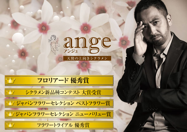 �������ƺ餯���������󡡡إ��󥸥�١��ԥ�