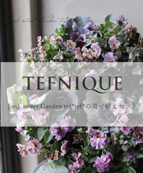 -TEFNIQUE-�ڲ��ġ�ȭ+�ڡ�  2018 * no.34 * �󤻿������å�