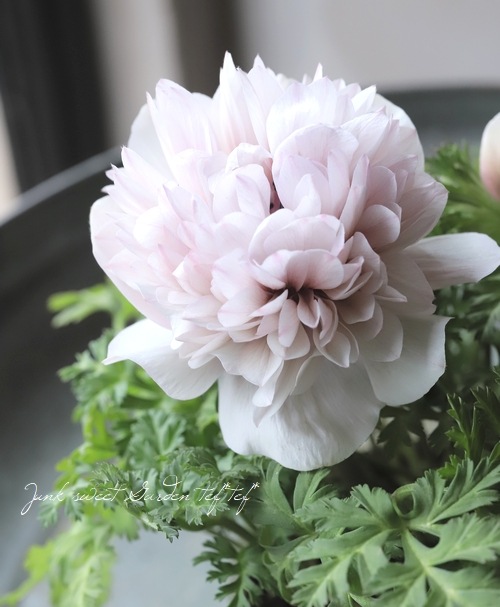 Ȭ�ź餭���ͥ�͡����ۡ��� -��ꥫ-�� MIX��