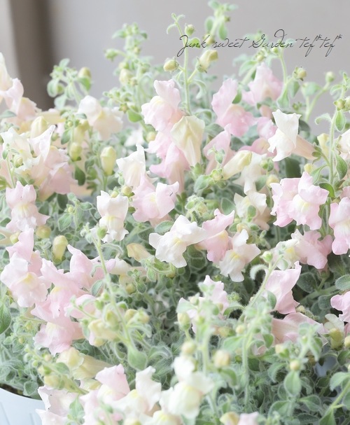 6_000000020972.jpg?1712660310