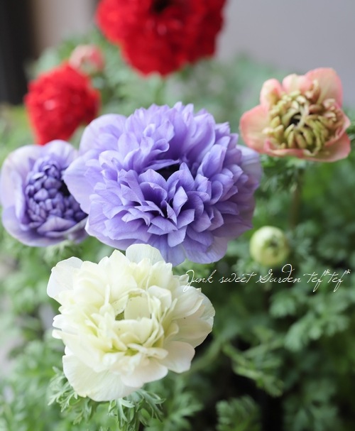 Ȭ�ź餭���ͥ�͡����ۡ��� -��ꥫ-�� MIX��