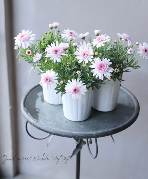 ����ݤݺ餭�ޡ�����åȡ��ؤݤݤ���١��ޥ�����