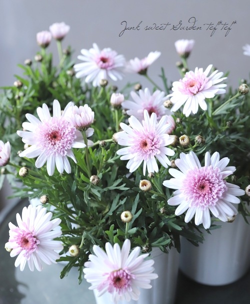 ����ݤݺ餭�ޡ�����åȡ��ؤݤݤ���١��ޥ�����