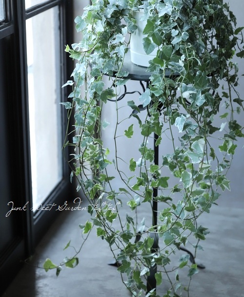 �إǥ� �إ��쥤���㡼�� Ĺ��60����ʾ�