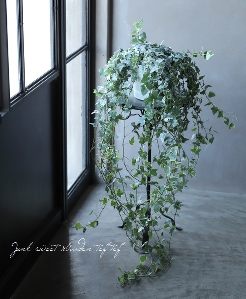 �إǥ� �إ��쥤���㡼�� Ĺ��60����ʾ�