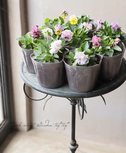 եѥ󥸡̴ѥ󥸡ؤޤ뤷ɡ