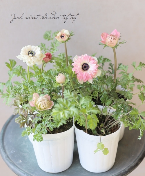 Ȭź餭ͥ͡ݥȥ֥롡إԥ󥯡١