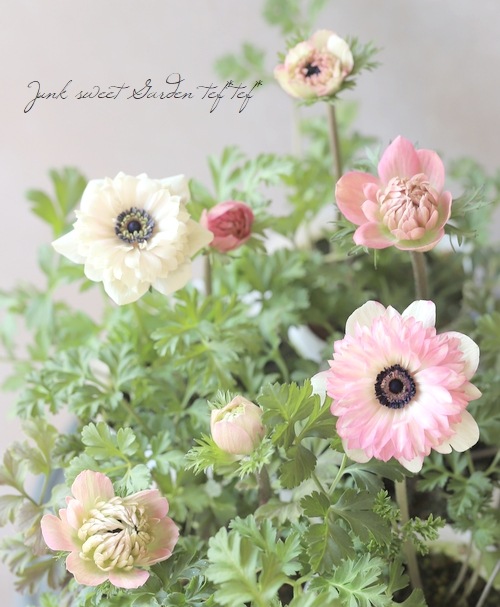 Ȭź餭ͥ͡ݥȥ֥롡إԥ󥯡١