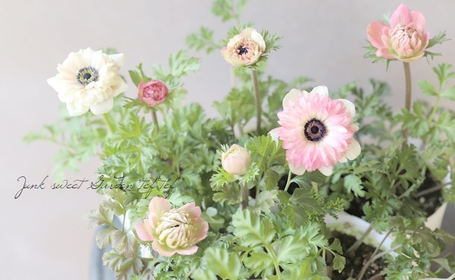 Ȭź餭ͥ͡ݥȥ֥롡إԥ󥯡١