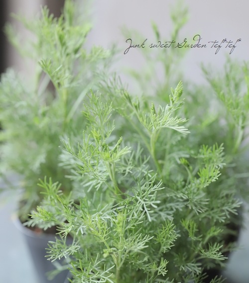 ����ƥߥ��������֥����ʥࡡ�إ�����ץ��ȡ١�������ι���