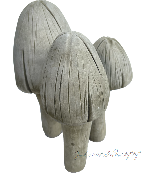�ڻ��ߡ� �ѹ�SPARTA STATUES ��Mushrooms�� �����ǥ󥪡��ʥ���
