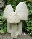 �ڻ��ߡ� �ѹ�SPARTA STATUES ��Mushrooms�� �����ǥ󥪡��ʥ���