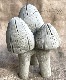 �ڻ��ߡ� �ѹ�SPARTA STATUES ��Mushrooms�� �����ǥ󥪡��ʥ���