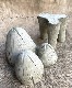 �ڻ��ߡ� �ѹ�SPARTA STATUES ��Mushrooms�� �����ǥ󥪡��ʥ���