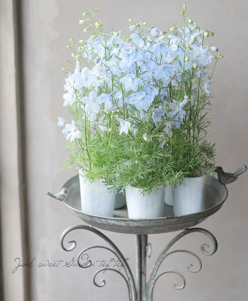 �ǥ�ե��˥��ࡡ�إϥ󥭡��ɥ꡼�١��������֥롼