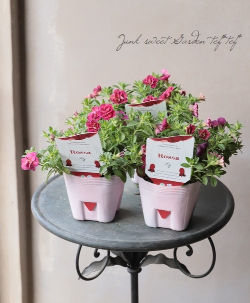 ゲブラさんのカリブラコア・NOZOMI 『ロッサ』 | すべての商品