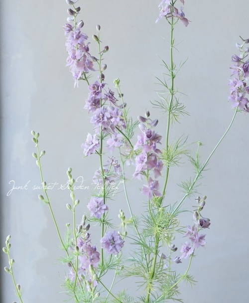 Ȭź餭顼ѡ إ륰쥤 Ի׵Ŀ