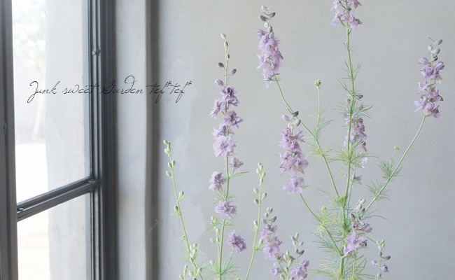 Ȭź餭顼ѡ إ륰쥤 Ի׵Ŀ