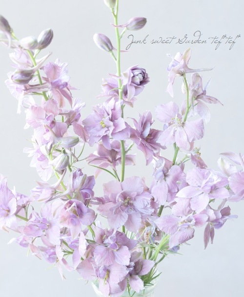 Ȭź餭顼ѡ إ륰쥤 Ի׵Ŀ