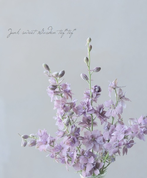 Ȭź餭顼ѡ إ륰쥤 Ի׵Ŀ