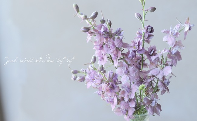 Ȭź餭顼ѡ إ륰쥤 Ի׵Ŀ