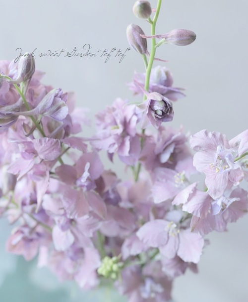 Ȭź餭顼ѡ إ륰쥤 Ի׵Ŀ