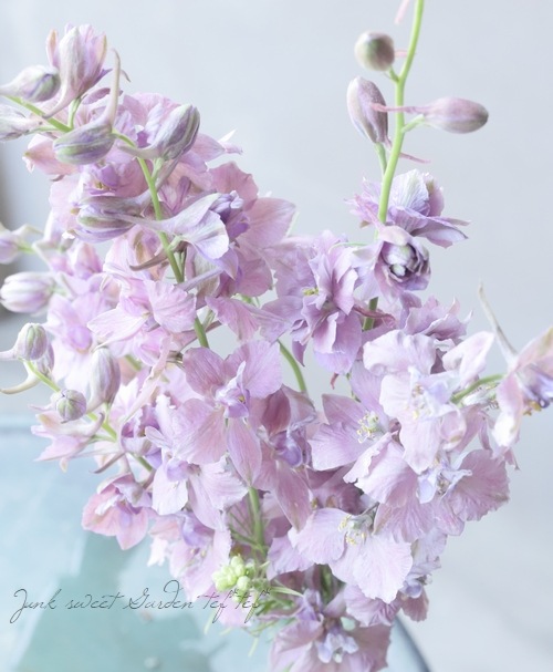 Ȭź餭顼ѡ إ륰쥤 Ի׵Ŀ