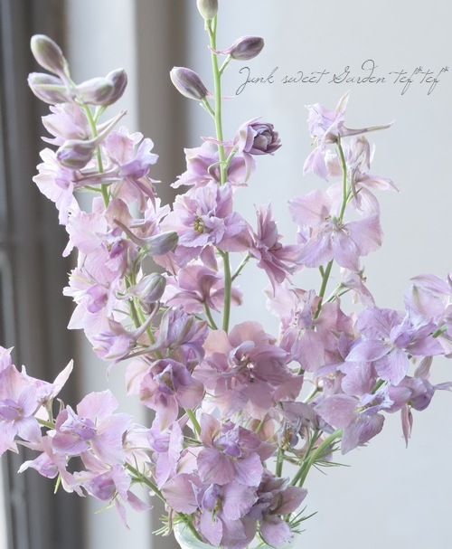 Ȭź餭顼ѡ إ륰쥤 Ի׵Ŀ