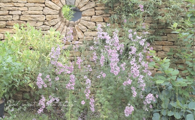 Ȭź餭顼ѡ إ륰쥤 Ի׵Ŀ