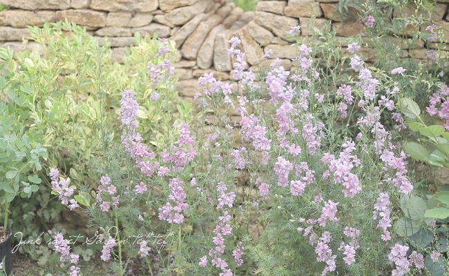 Ȭź餭顼ѡ إ륰쥤 Ի׵Ŀ