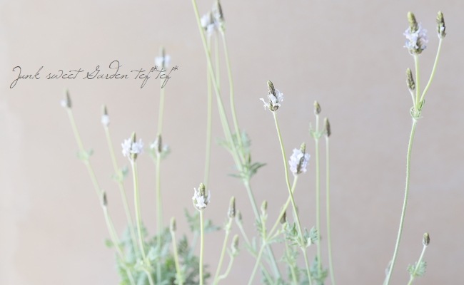 �졼����٥�������إȡ����ߥ�ƥ���������