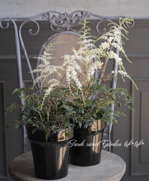 ��������١��إۥ磻�ȥ��󥻡������١�����ѥ��Ȥʾ����ʼ��