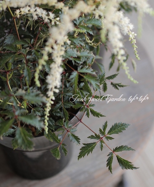 ��������١��إۥ磻�ȥ��󥻡������١�����ѥ��Ȥʾ����ʼ��