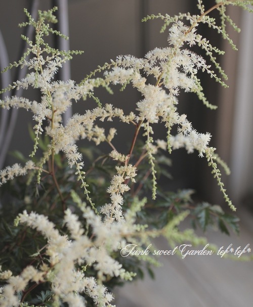 ��������١��إۥ磻�ȥ��󥻡������١�����ѥ��Ȥʾ����ʼ��