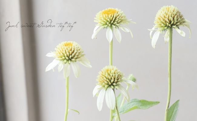 英国製❁﻿22金 WORCESTER 美しい英国の野の花 ミルクジャグ ミルクピッチャー 陶器（柄：花）のおすすめ人気商品一覧 通販 - Yahoo