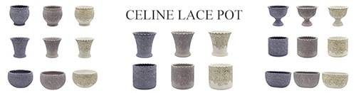 ڻߡۡڷ̡ ꡼̥졼㡼ڥ֥å