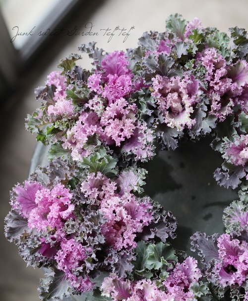 ղðå󥷥꡼إԡեå