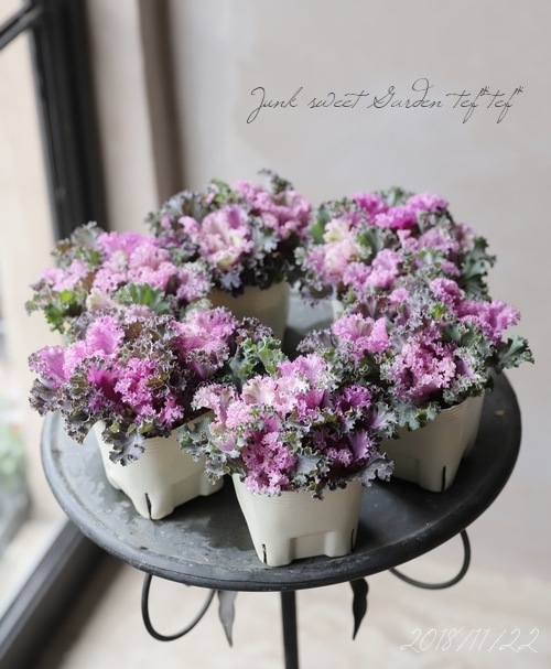 ղðå󥷥꡼إԡեå