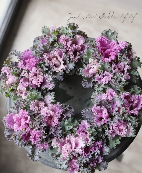 ղðå󥷥꡼إԡեå