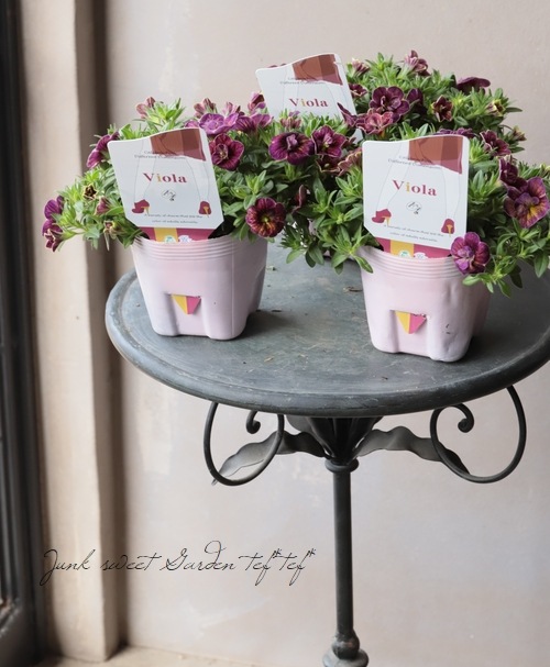 ���֥餵��Υ���֥饳����NOZOMI���إ��������