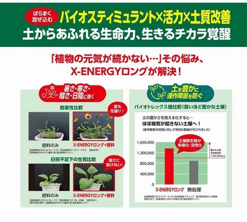 �ڳ��Ϻޡ� X-ENERGY���󥰡ʥ��å������ʥ������󥰡�γ������ 700g����ʪ�η򹯤�ȡ����륱����