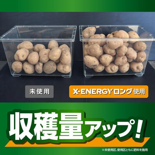 �ڳ��Ϻޡ� X-ENERGY���󥰡ʥ��å������ʥ������󥰡�γ������ 700g����ʪ�η򹯤�ȡ����륱����