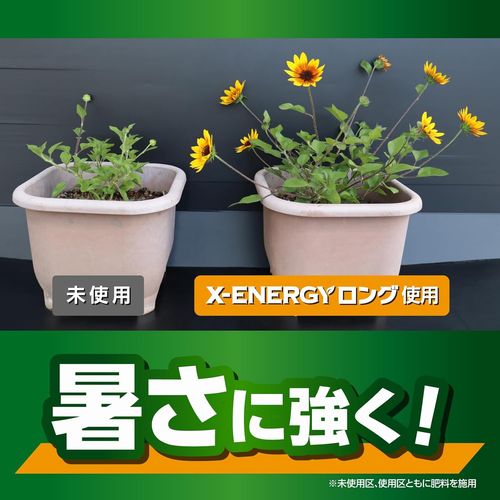 �ڳ��Ϻޡ� X-ENERGY���󥰡ʥ��å������ʥ������󥰡�γ������ 700g����ʪ�η򹯤�ȡ����륱����