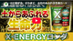 �ڳ��Ϻޡ� X-ENERGY���󥰡ʥ��å������ʥ������󥰡�γ������ 700g����ʪ�η򹯤�ȡ����륱����