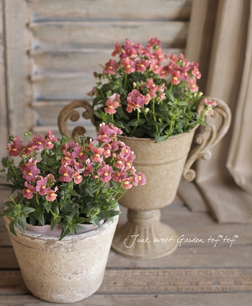 Luxury selection���ɺ��ͥ᥷�����᡼�ƥ�إ��祳�졼�ȥࡼ����