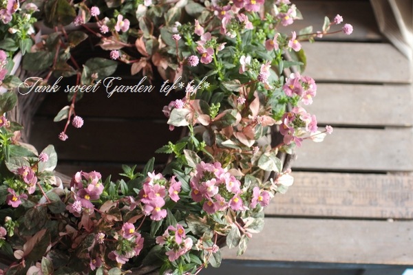 Luxury selection���ɺ��ͥ᥷�����᡼�ƥ�إ��祳�졼�ȥࡼ����